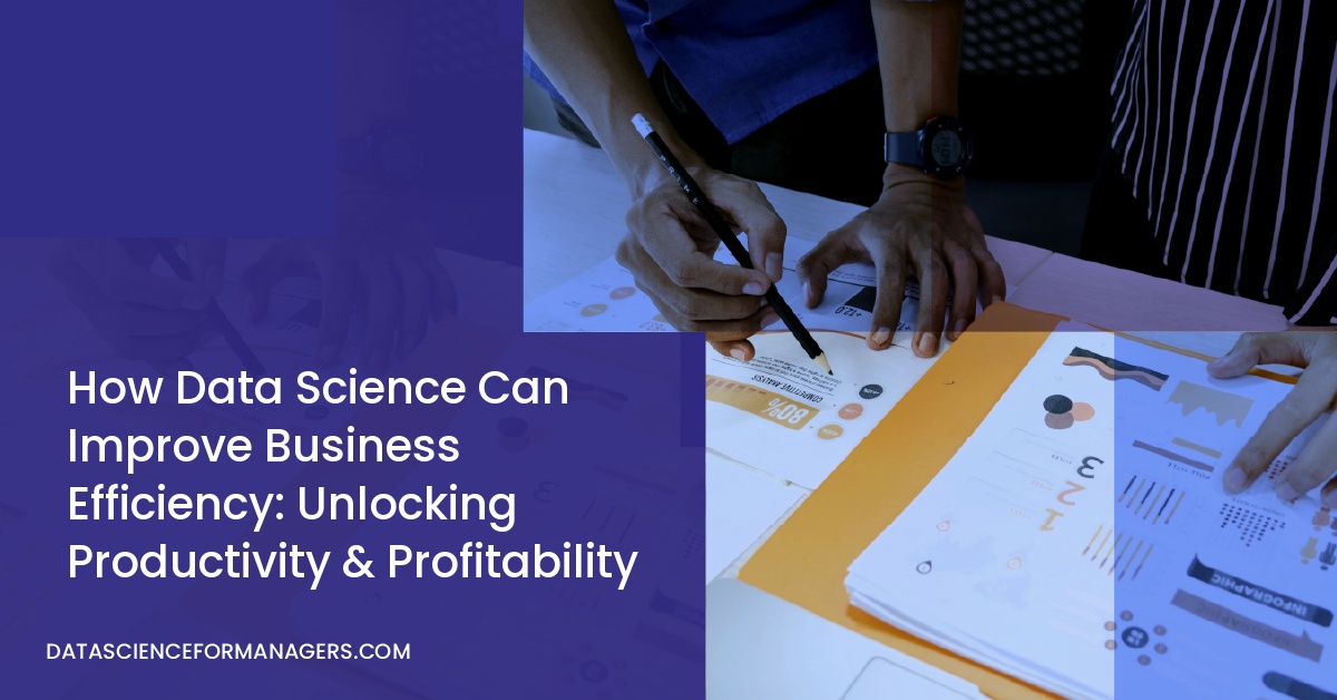 How Data Science Can Improve Business Efficiency: Unlocking Productivity & Profitability